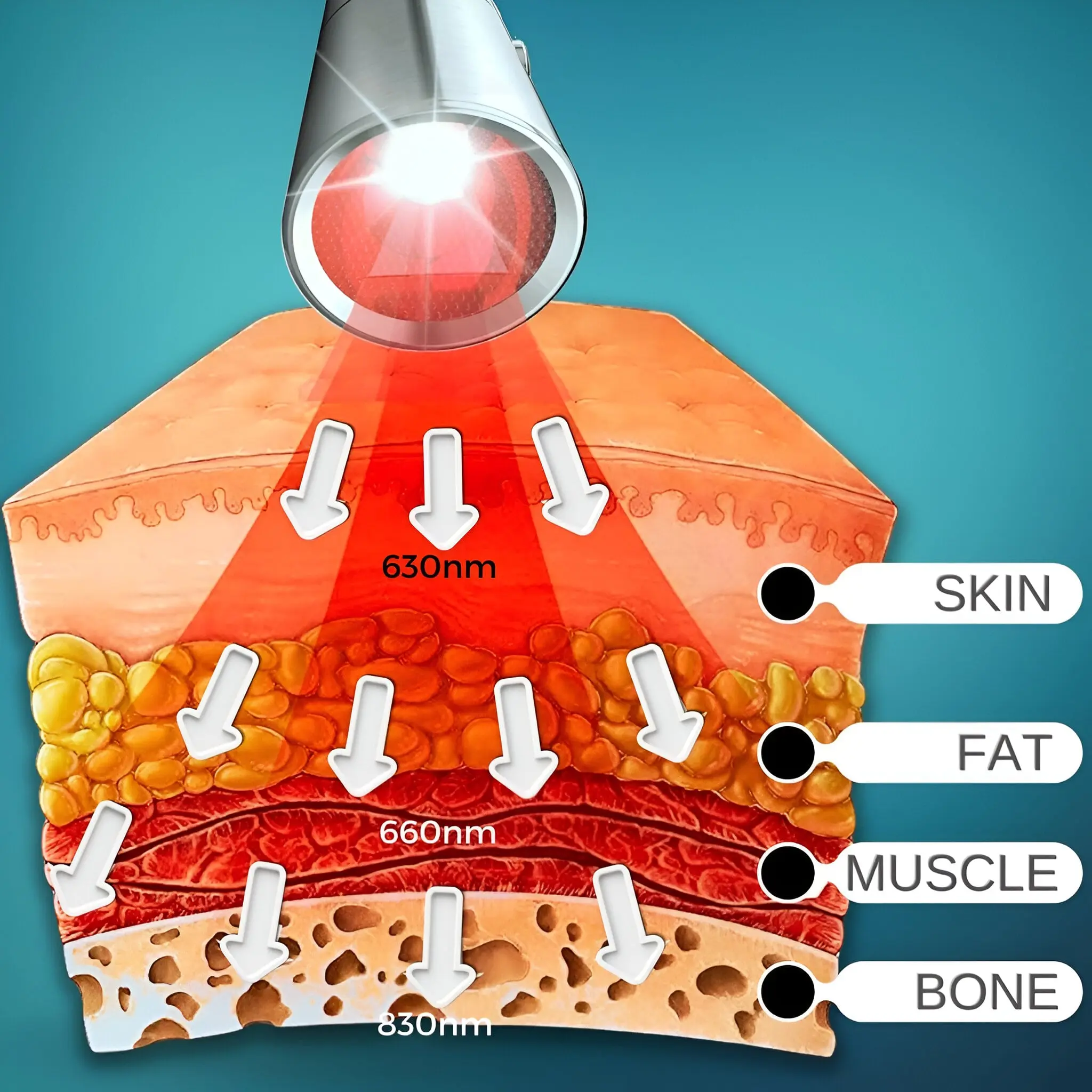 Red Light Therapy Device